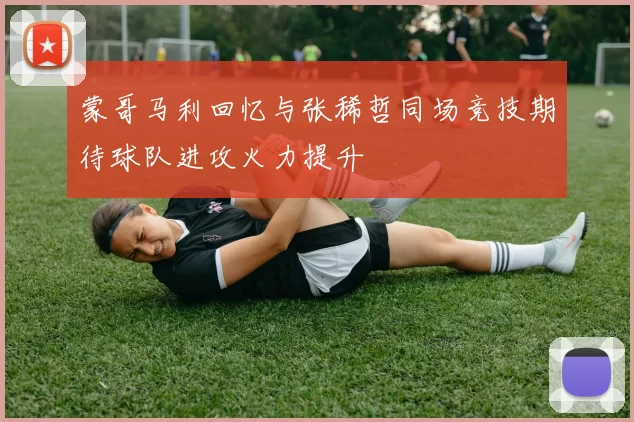 蒙哥马利回忆与张稀哲同场竞技期待球队进攻火力提升